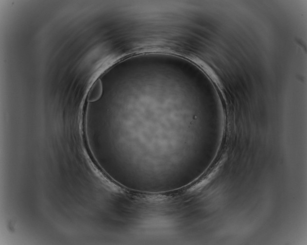 X0000093220957200709261629