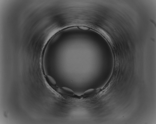 X0000093220958200709261629