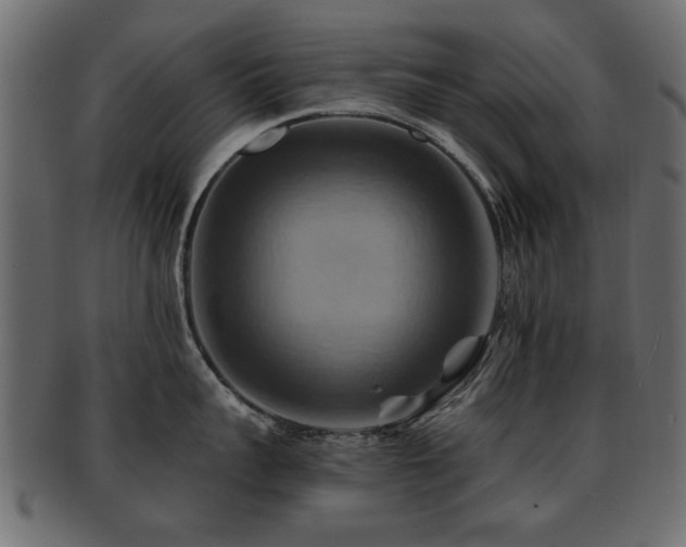 X0000093220959200709261629