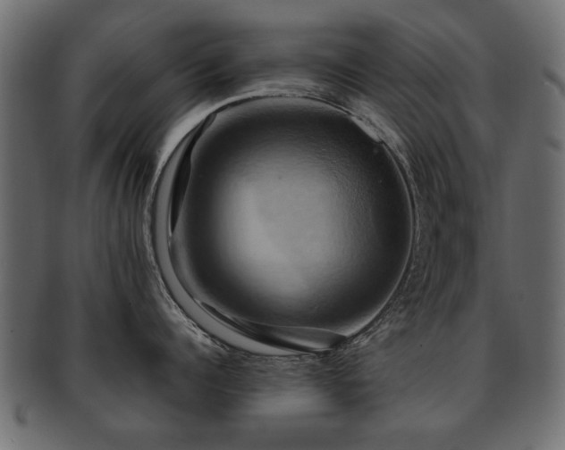 X0000093220960200709261629