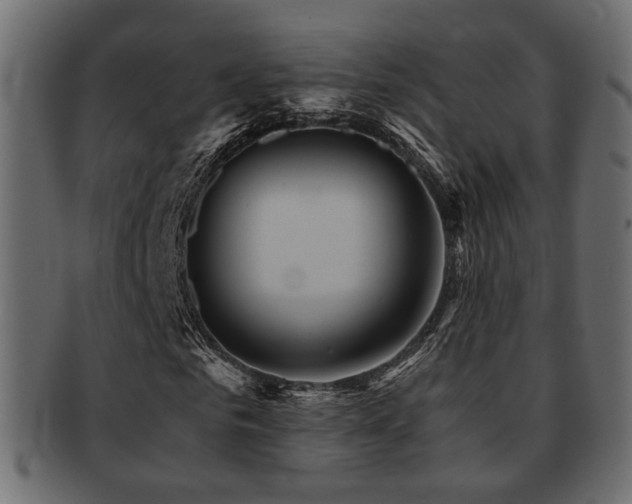 X0000093220961200709261628