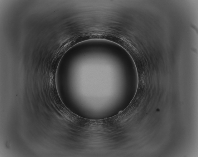 X0000093220964200709261628
