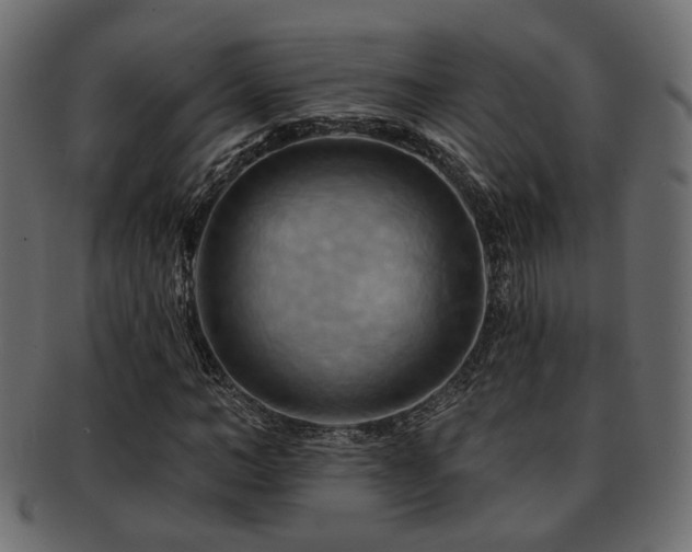 X0000093220966200709261628