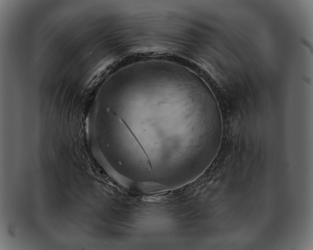 X0000093220967200709261628