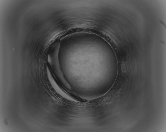 X0000093220968200709261628