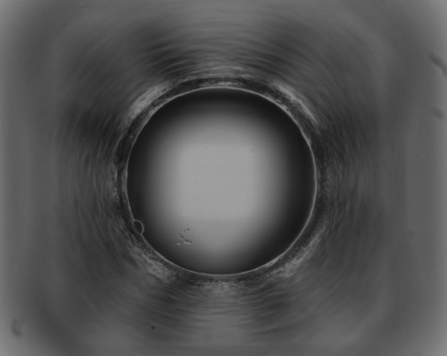 X0000093220970200709261628