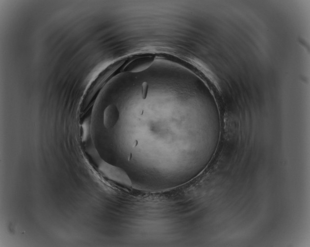 X0000093220972200709261628