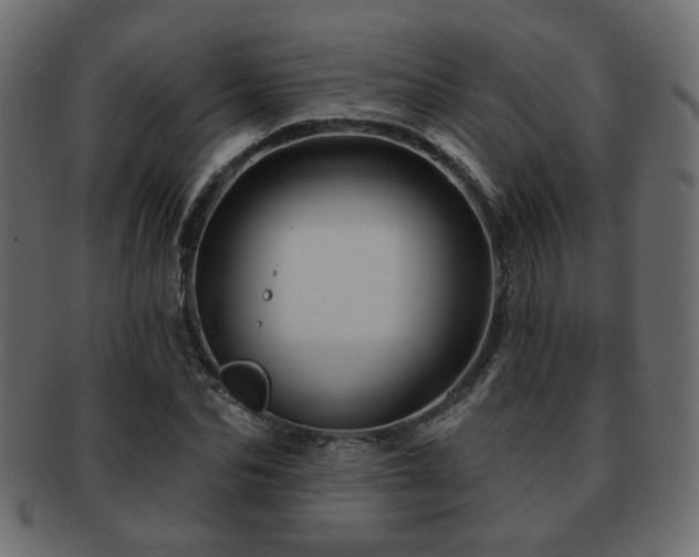 X0000093220974200709261628