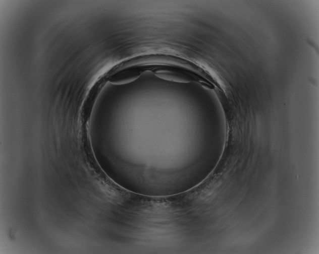 X0000093220975200709261628