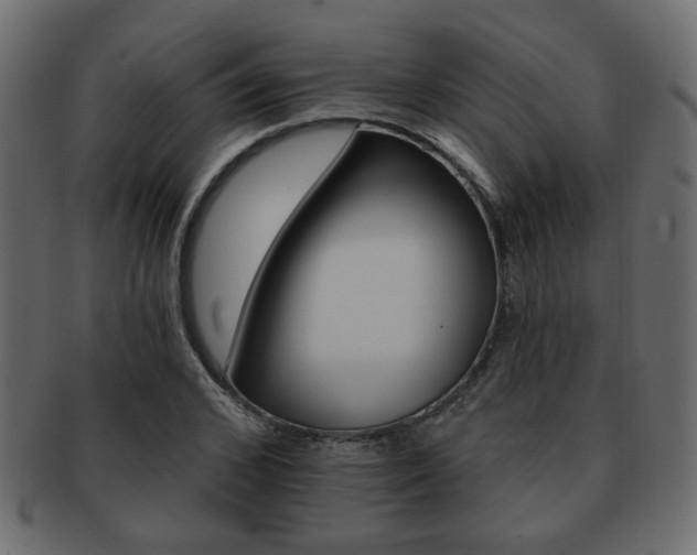 X0000093220976200709261628
