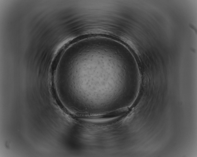 X0000093220979200709261628