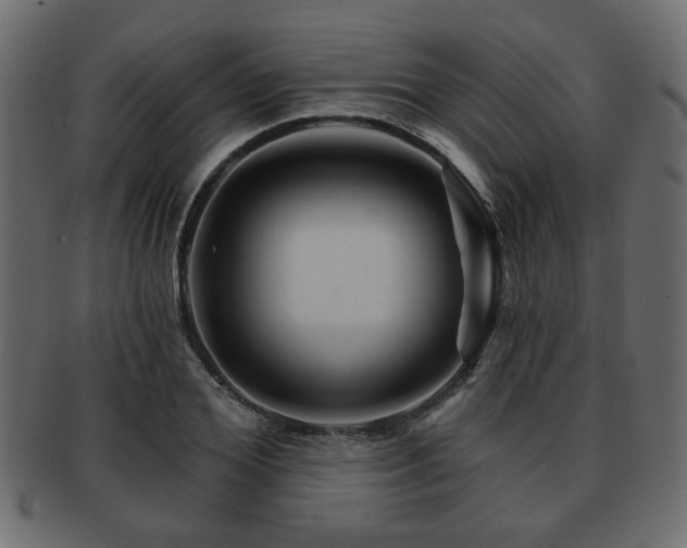 X0000093220980200709261628