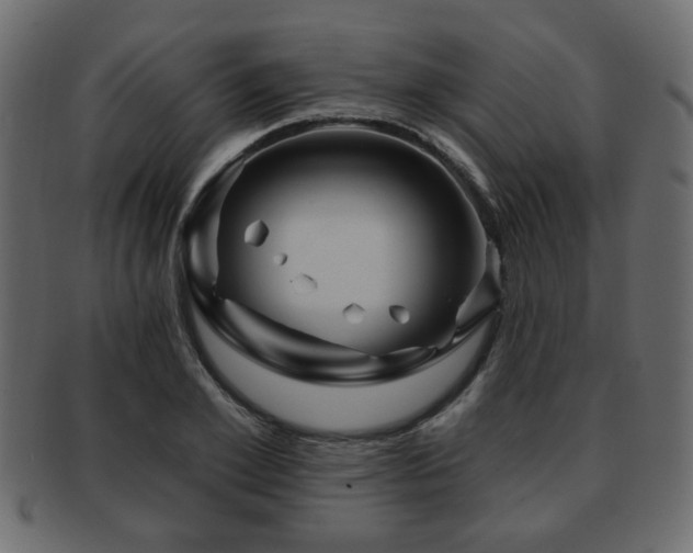 X0000093220981200709261628