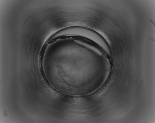 X0000093220983200709261628
