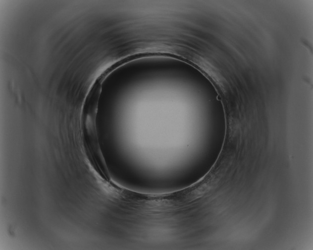 X0000093220988200709261628