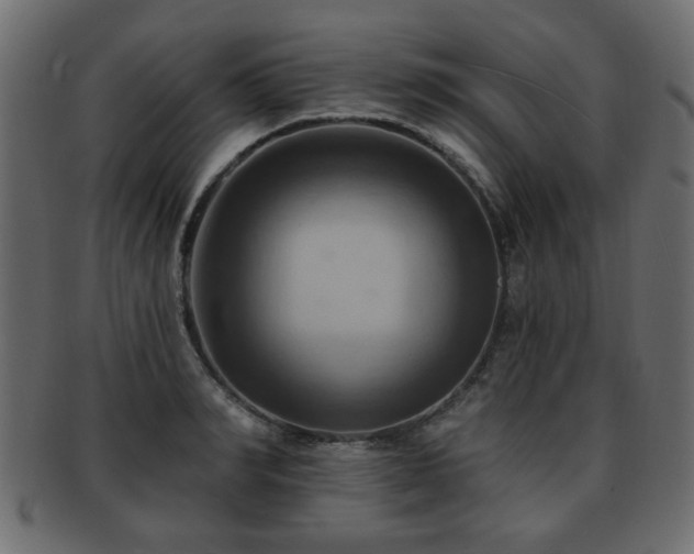 X0000093220990200709261628