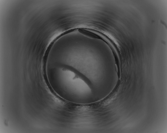X0000093220991200709261628