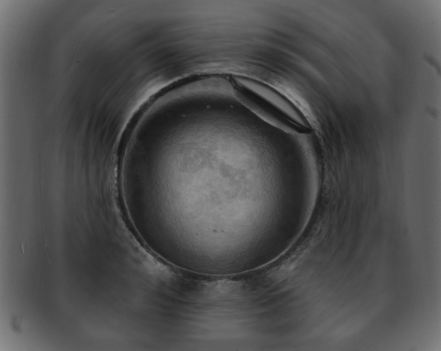 X0000093220992200709261628