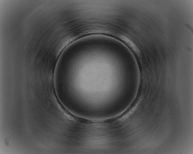 X0000093220993200709261628