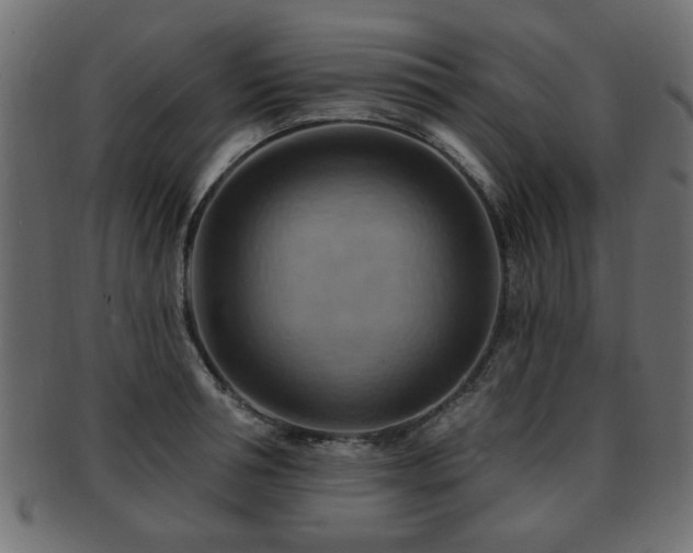 X0000093220994200709261628