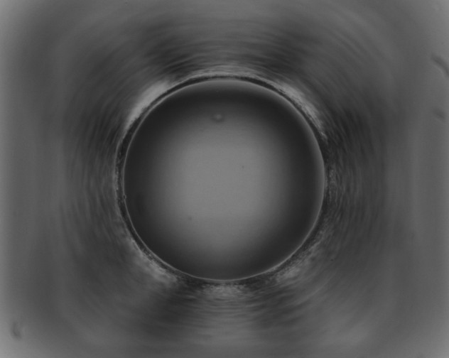 X0000093220998200709261628