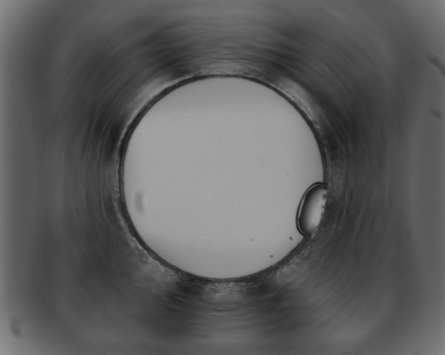 X0000093221000200709261628