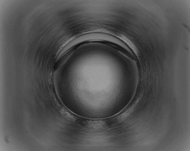 X0000093221001200709261628