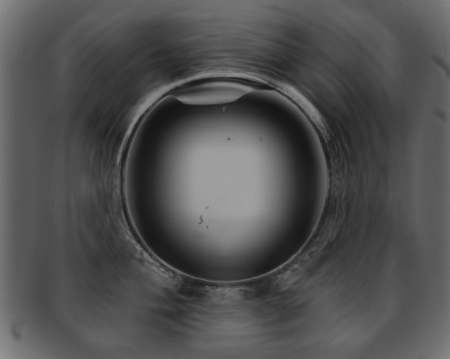 X0000093221004200709261628