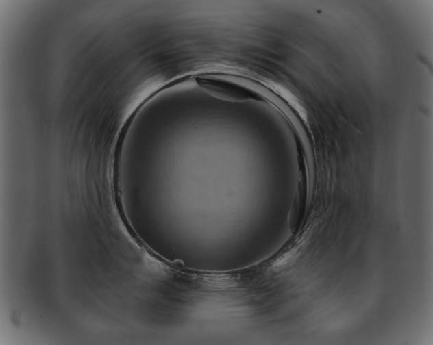 X0000093221007200709261628