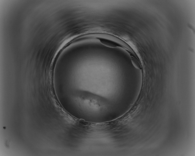 X0000093221008200709261628