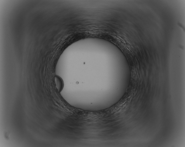 X0000093221009200709261627