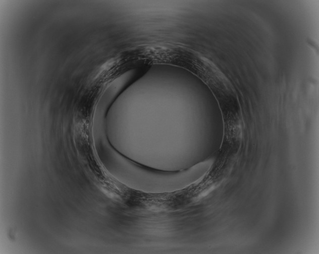 X0000093221010200709261627