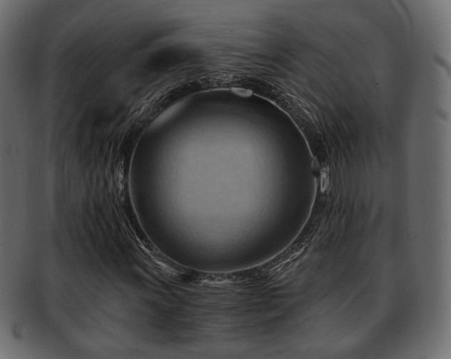 X0000093221011200709261627