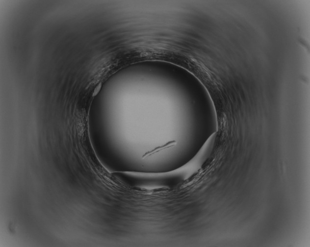 X0000093221012200709261627