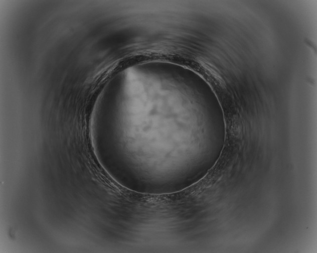 X0000093221015200709261627