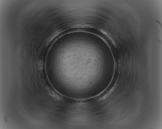 X0000093221017200709261627
