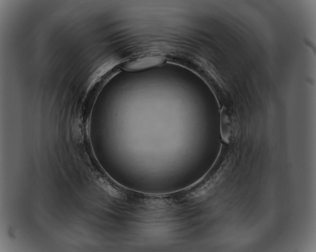 X0000093221018200709261627