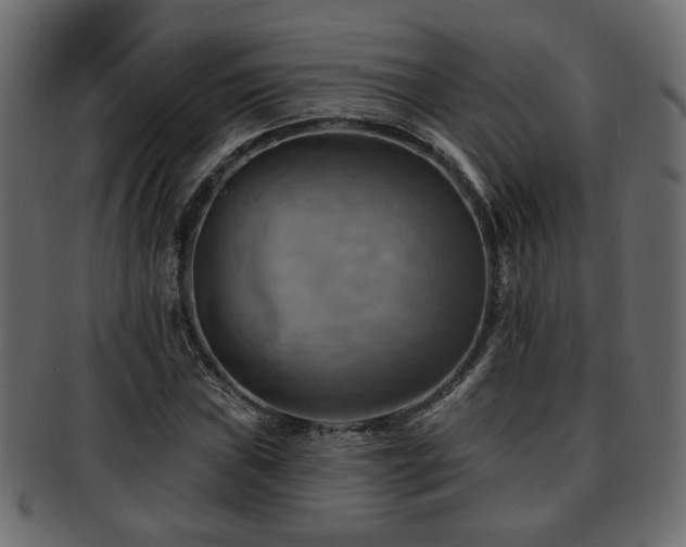 X0000093221019200709261627