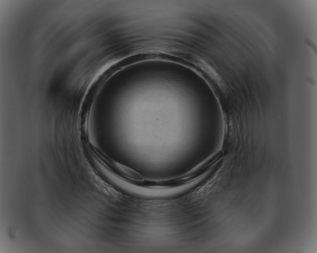 X0000093221020200709261627