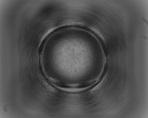 X0000093221021200709261627
