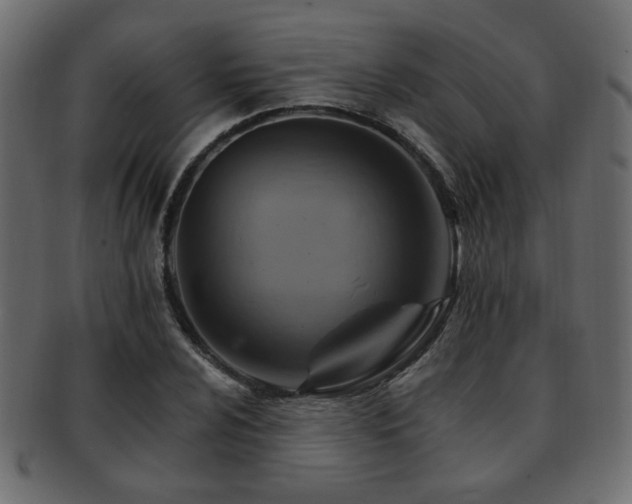 X0000093221024200709261627