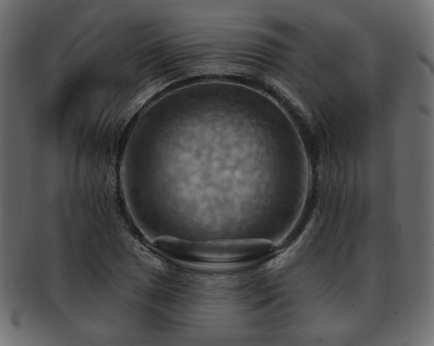 X0000093221025200709261627