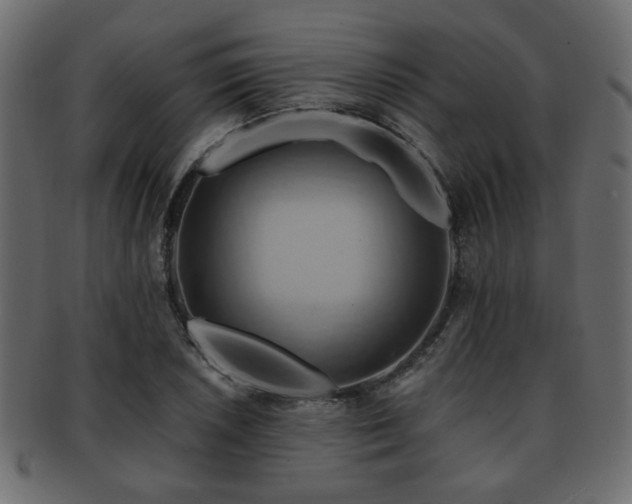 X0000093221026200709261627