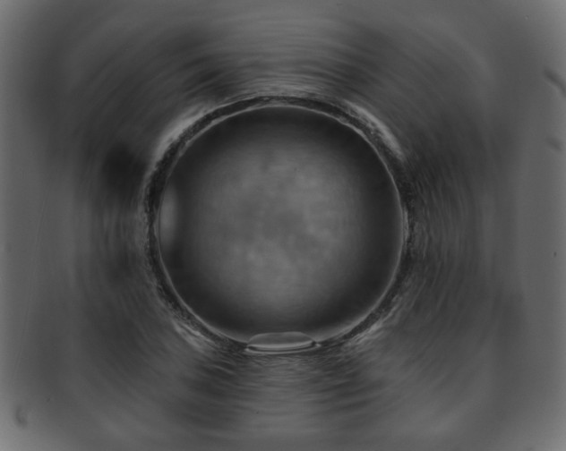 X0000093221027200709261627