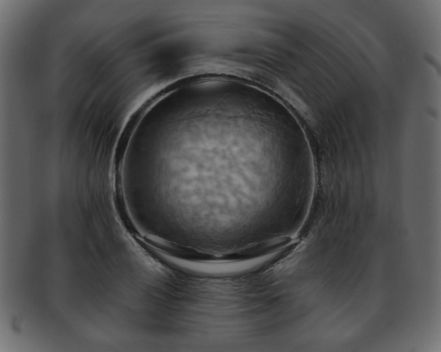 X0000093221028200709261627