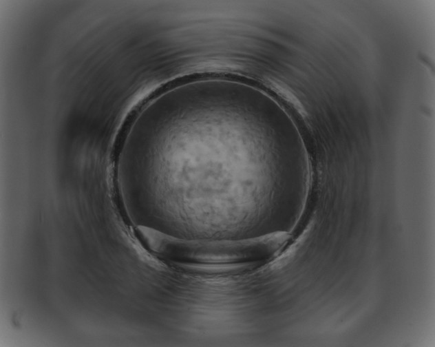 X0000093221029200709261627