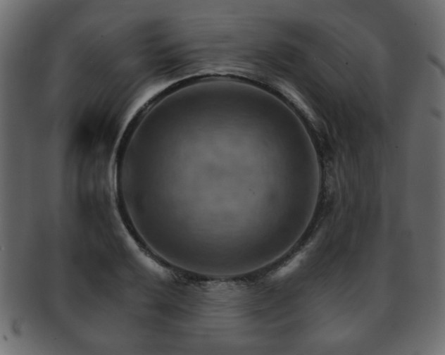 X0000093221032200709261627