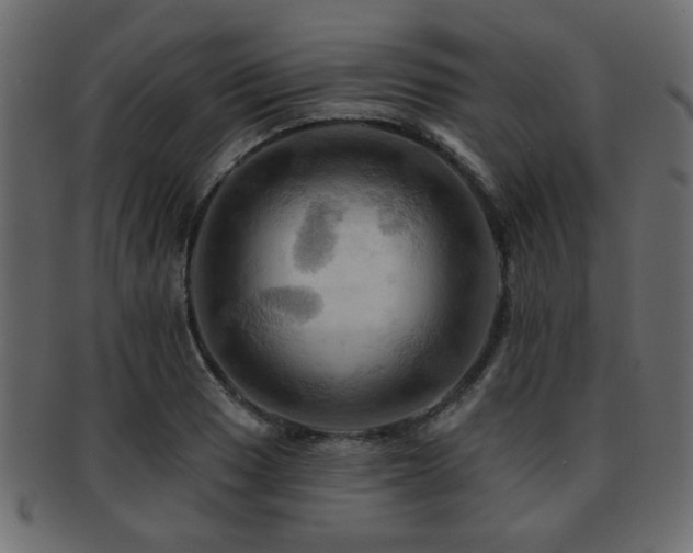 X0000093221033200709261627