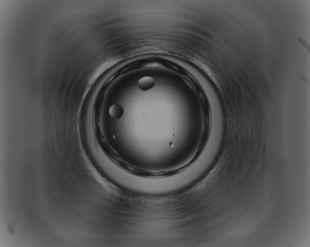 X0000093221034200709261627