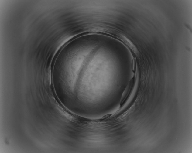 X0000093221036200709261627